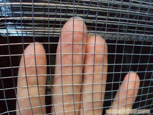 Black  Welded Wire Mesh